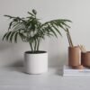 portfolio 9 1