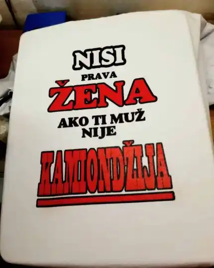 Nisi prava - Kamiondzija