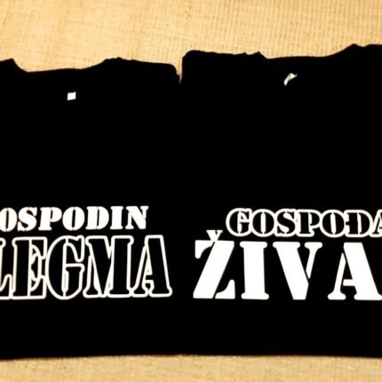 Gospodin flegma i gospodja zivac