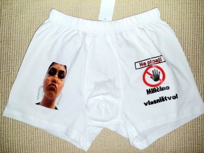 Miličino vlasništvo + slika (m)