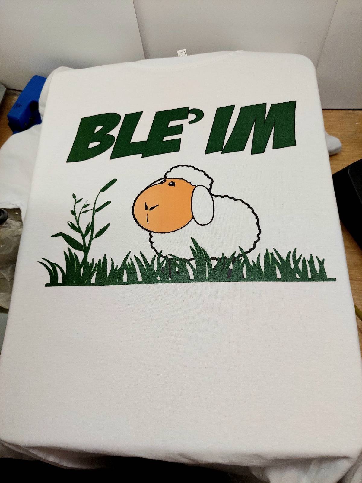 20220208_231716.jpg Bleim - Слика 1