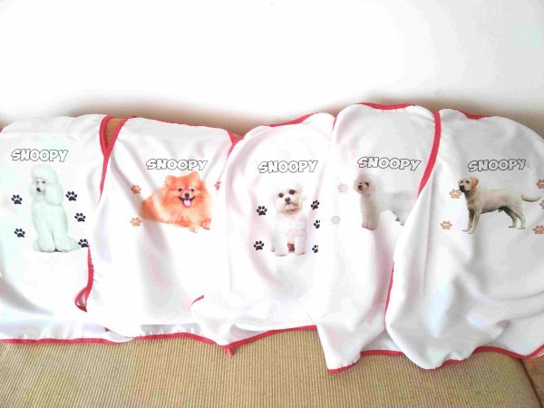 Compress_20221101_103706_6315.jpg Kecelje sa slikom psa 2 - Слика 1