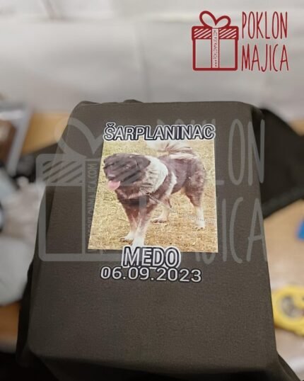 Medo