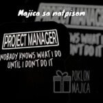 Project manager