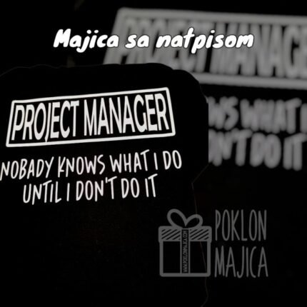 Project manager