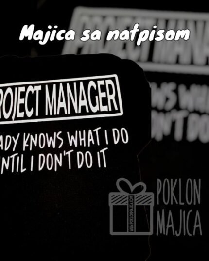 Project manager