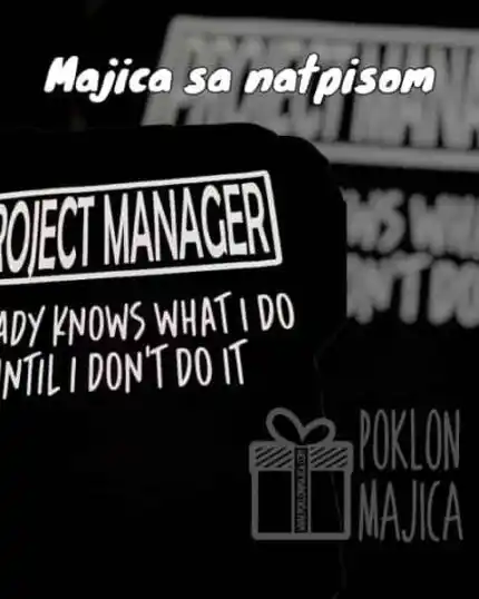 Project manager