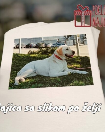 Labrador
