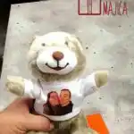Meda slika