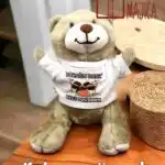 Meda bubnjar :)