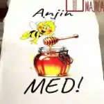 Anjin med :)