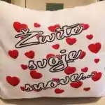 Živite svoje snove