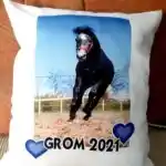 Grom 2021