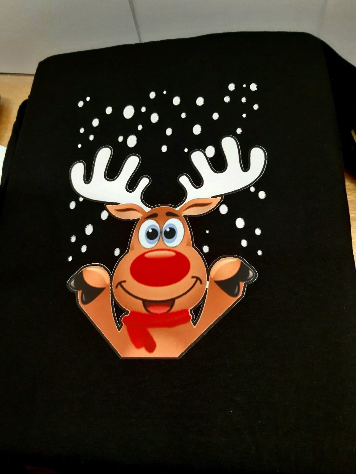 IMG-c8f9c8ccbe41b54203673cee90d6877a-V.jpg Irvas i sneg - Слика 1