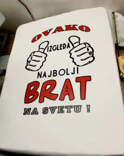 Najbolji brat na svetu V2