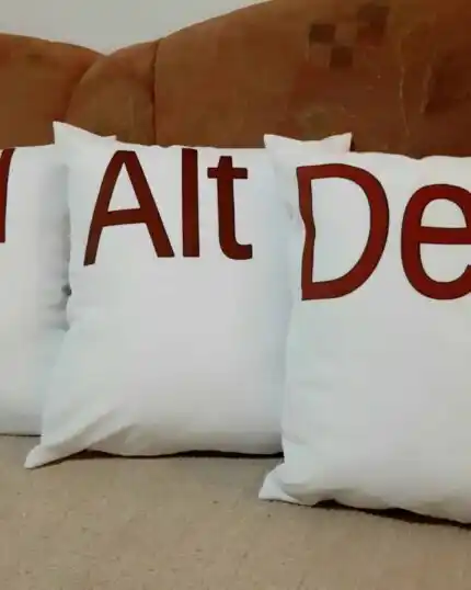 Ctrl Alt Del