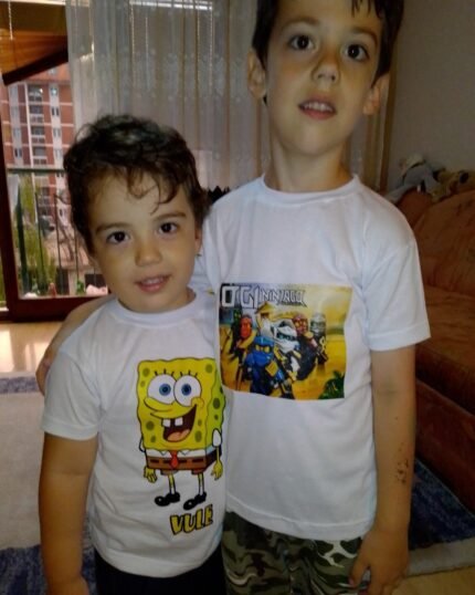 Vule kockalone i Ogi ninjago
