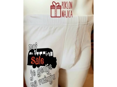 Moj Sale je genije za voznju (m)