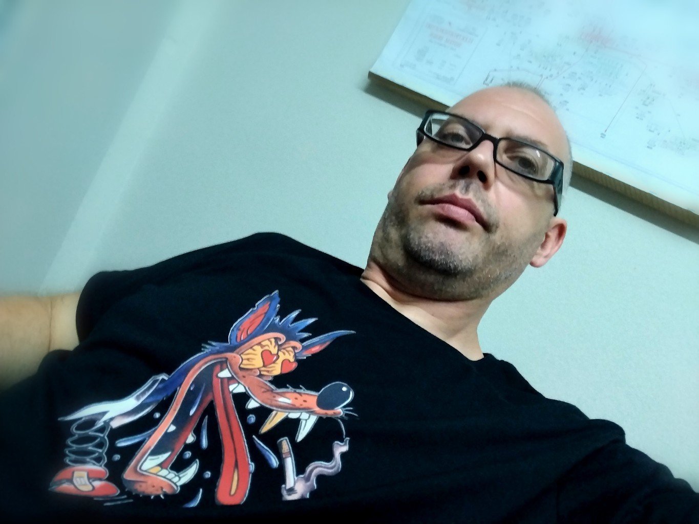 IMG_20220706_070639_edit_849341556809594_copy_1365x1024.jpg Stari vuk - Слика 1