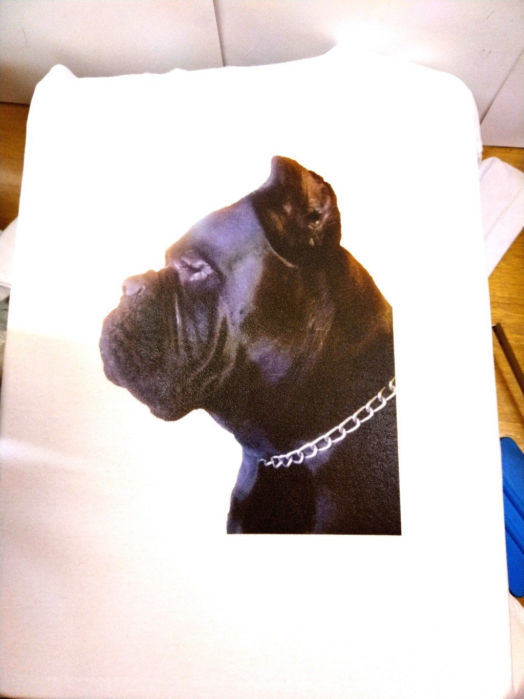 IMG_20220707_195808_edit_890117626909351_copy_1024x1365.jpg Bokser - Слика 1