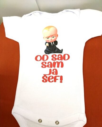 Sad sam ja sef V2