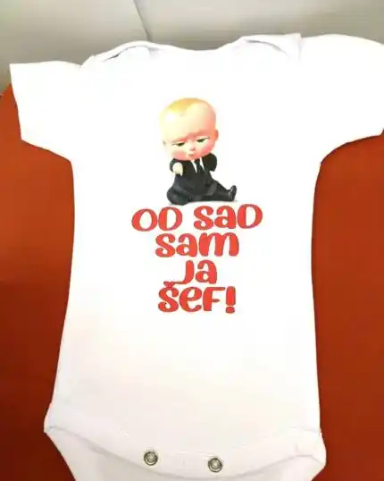 Sad sam ja sef V2