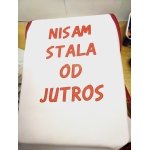 Nisam stala od jutros (tekst)