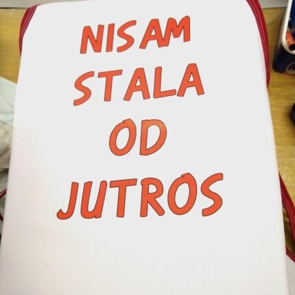 Nisam stala od jutros (tekst)
