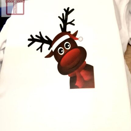 Irvas V5 nova godina