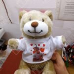 Plišani meda sa slikom deteta + srca