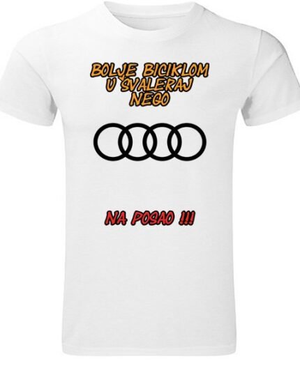 S audi
