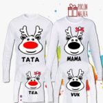 Irvasi nova godina V3