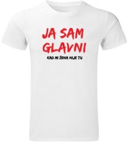 Ja sam glavni