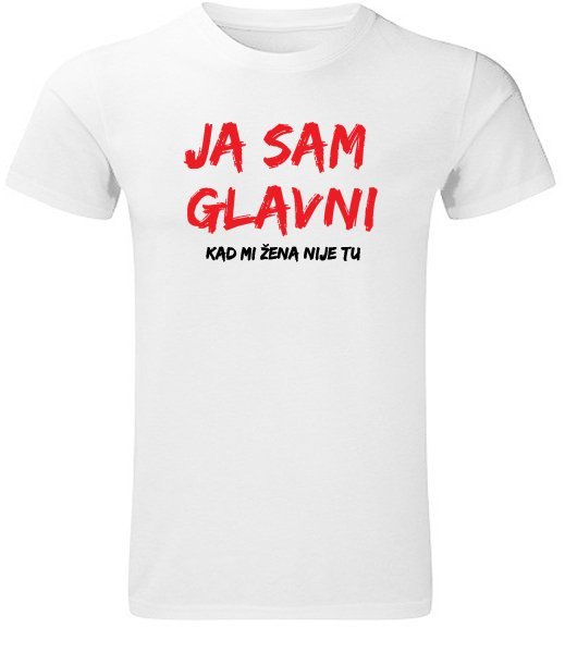 ja20sam20glavni.jpg Ja sam glavni - Слика 1
