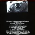 Pravila - cerka decko