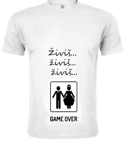 Zivis