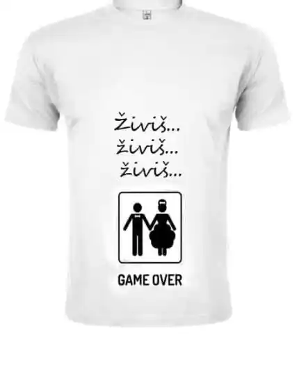 Zivis