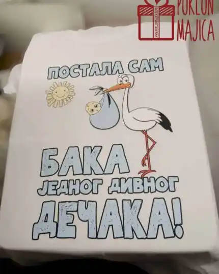 Postala sam baka jednog divnog dečaka