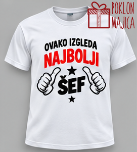 Najbolji šef V21